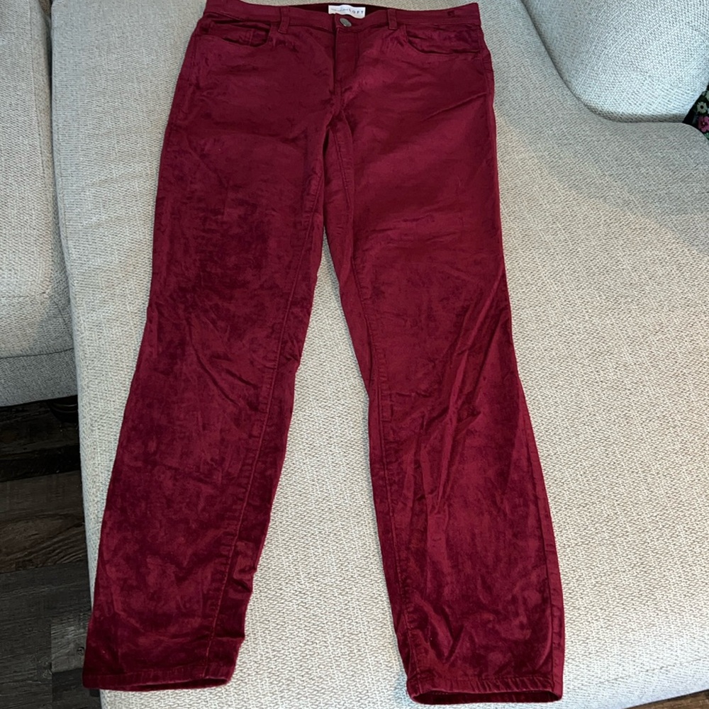 NWOT LOFT velvet skinny pants Size: 29/8                     5 pocket pants